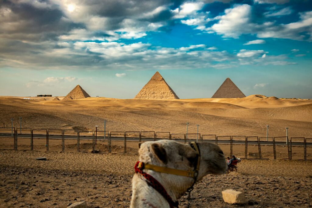 Pyramiden von Gizeh, davor ein Kamel
