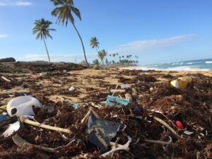 zugemüllter Strand in Punta Cana, Dominikanische Republik mit Palmen im Hintergrund.