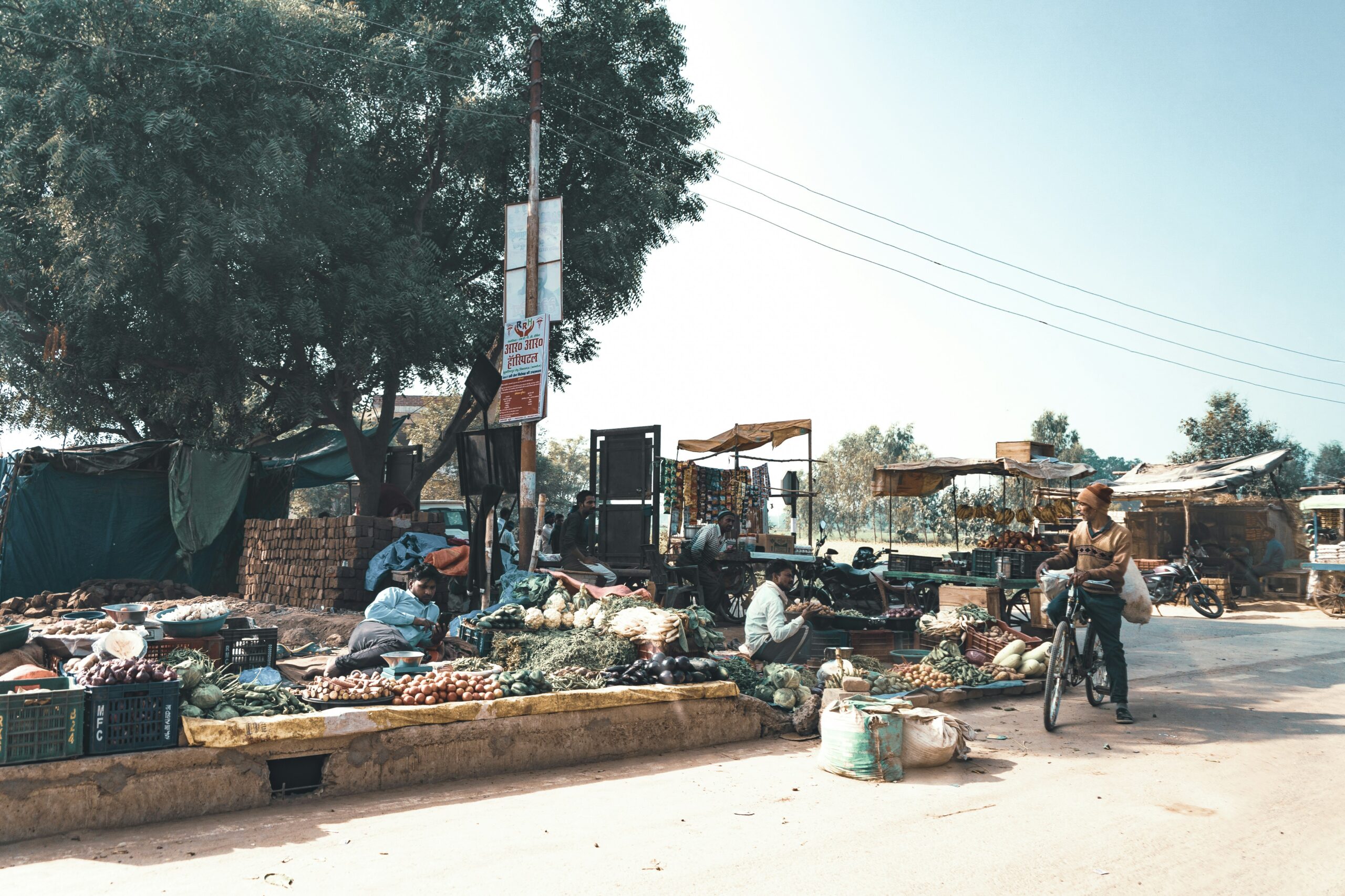 Gemüsemarkt in Uttar Pradesh, Indien.