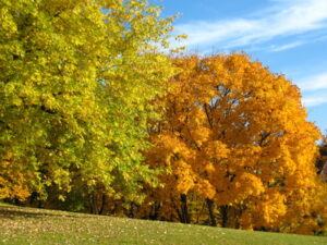 Herbstwanderung