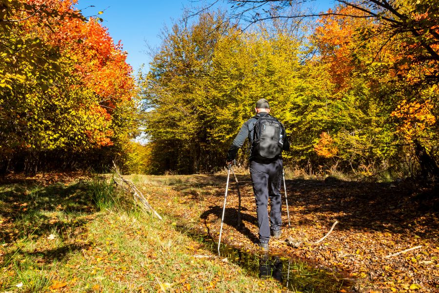 Wanderpfad für jung und alt. Klare Luft, blauer Himmel, buntes Laub