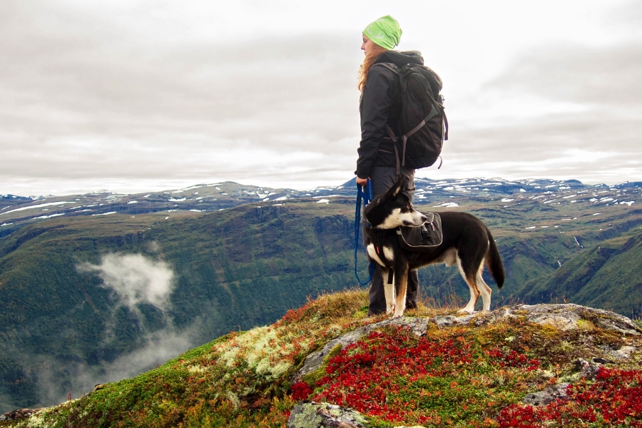 Frau mit Hund auf einem Berg im Herbst