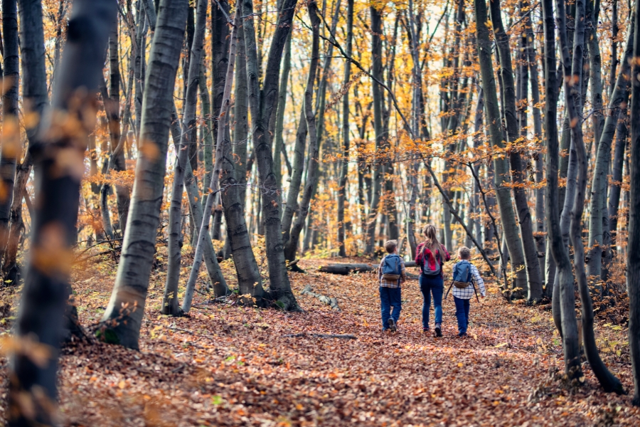 zu dritt im Wald im Herbst, zwei Kinder spazieren auf Laub