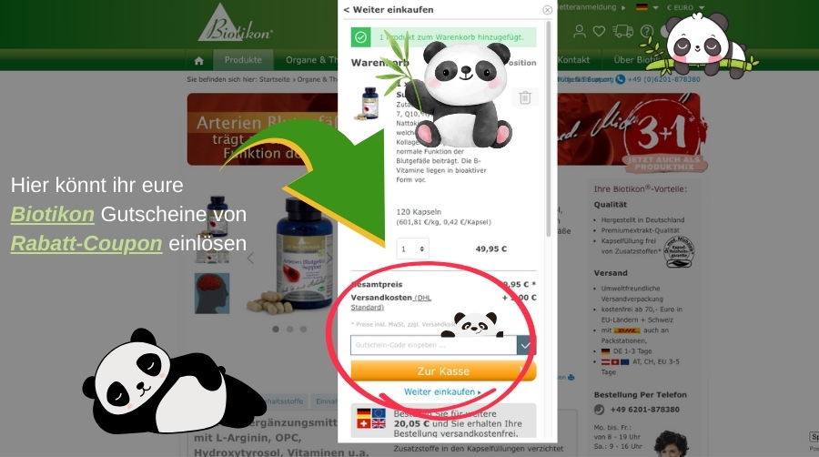 Webseite von Biotikon: im Warenkorb kann man den Gutscheincode eingeben