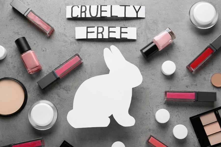 Schminkutensilien vor grauen Hintergrund, Kanienchen, Cruelty Free