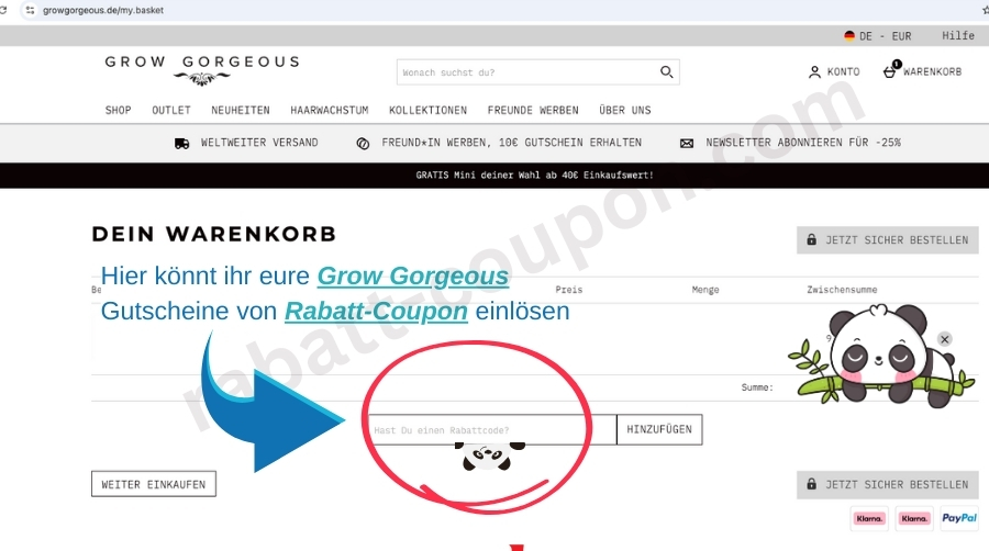 Grow Gorgeous Webseite, im Warenkorb kann man den Gutscheincode eingeben