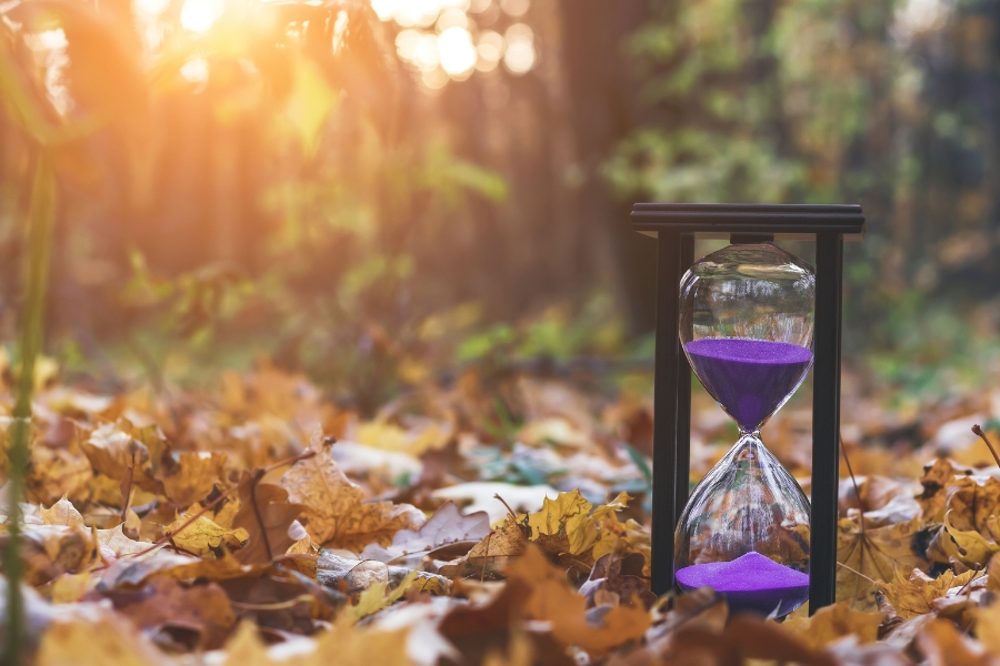 im Herbst am Waldrand steht eine Sanduhr mit lila Sand, der Sand ist halb abgelaufen, im Hintergrund sieht man die Sonne untergehen