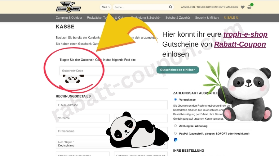 troph-e-shop Webseite mit Feld für Gutscheincode