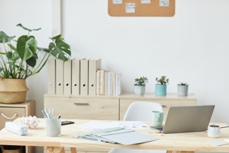 Schreibtisch mit Laptop, Unterlagen und im Hintergrund Pflanzen und Ordner