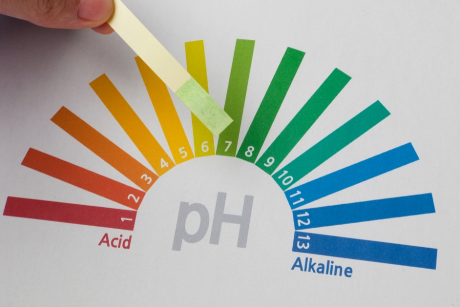 buntes Diagramm von pH Werten von sauer zu basisch