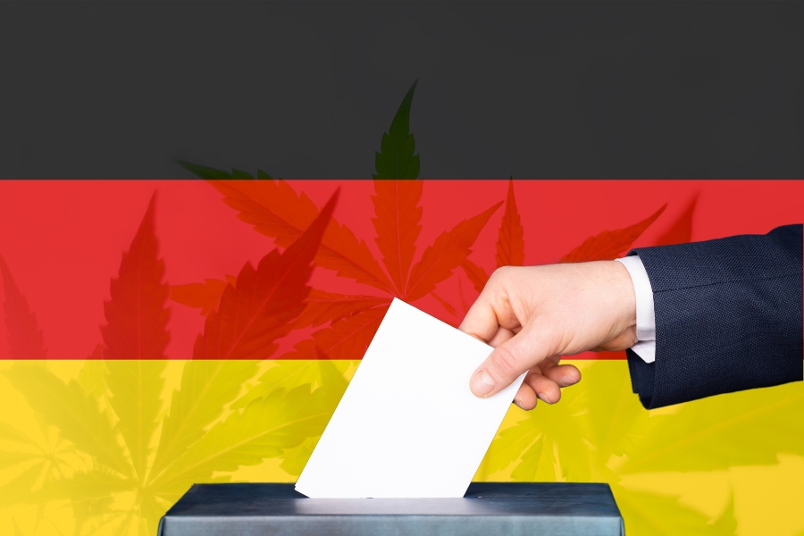 Deutschlandflagge im Hintergrund, Hanfblätter und eine Wahlurne, in die eine Hand einen Zettel steckt