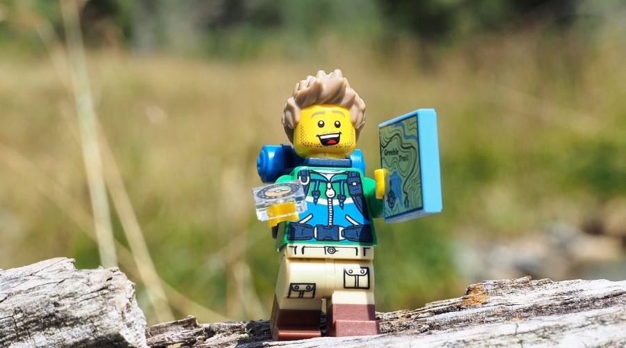 LEGO Figur auf einem Baumstumpf in der Wildnis